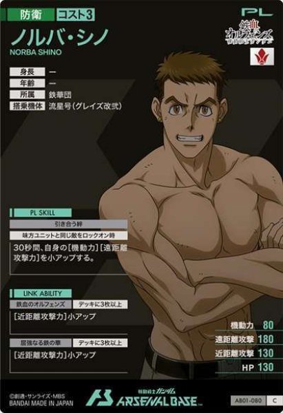 画像2: C ノルバ・シノ (2)