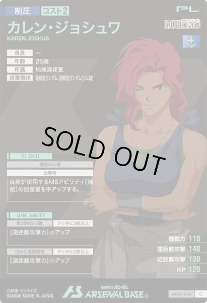 画像2: C カレン・ジョシュワ (2)