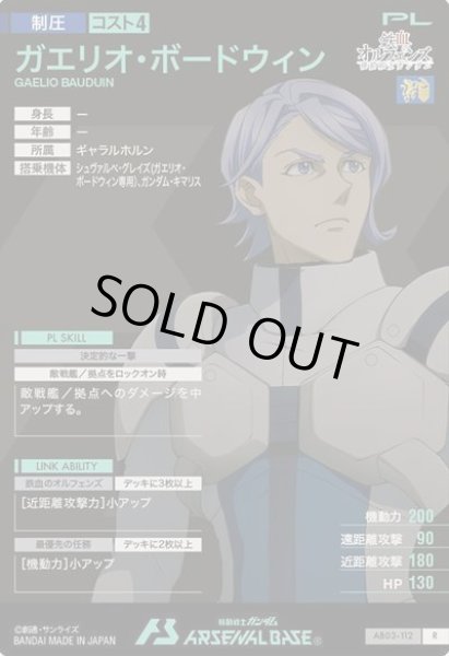 画像2: R ガエリオ・ボードウィン (2)