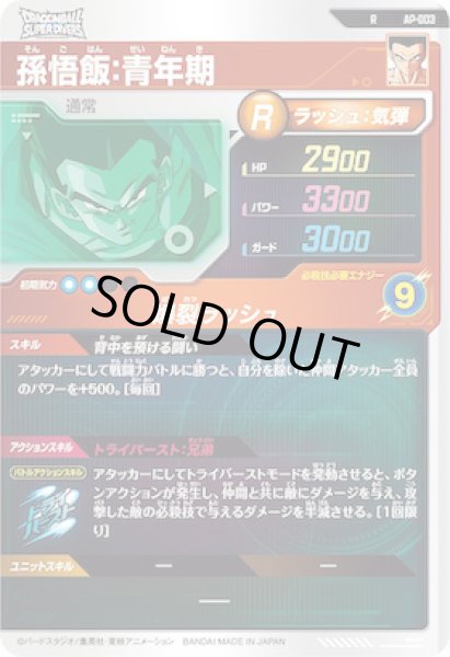 画像2: R 孫悟飯：青年期 (2)