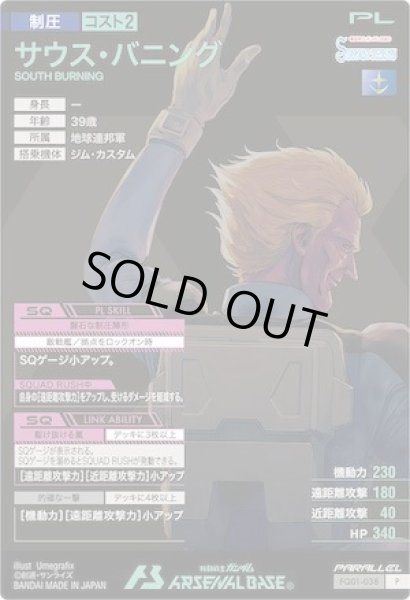 画像2: P 【パラレル】サウス・バニング (2)