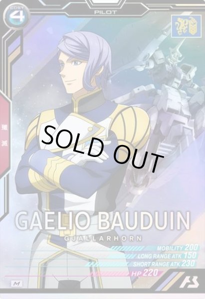 画像1: M ガエリオ・ボードウィン (1)