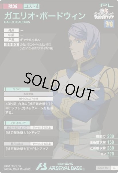 画像2: M ガエリオ・ボードウィン (2)