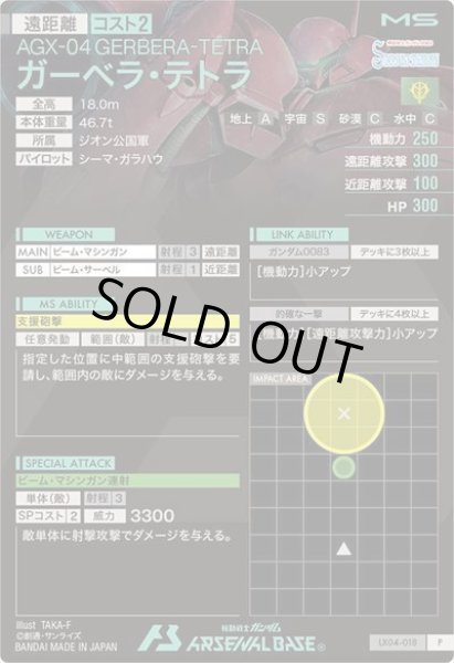 画像2: P ガーベラ・テトラ (2)