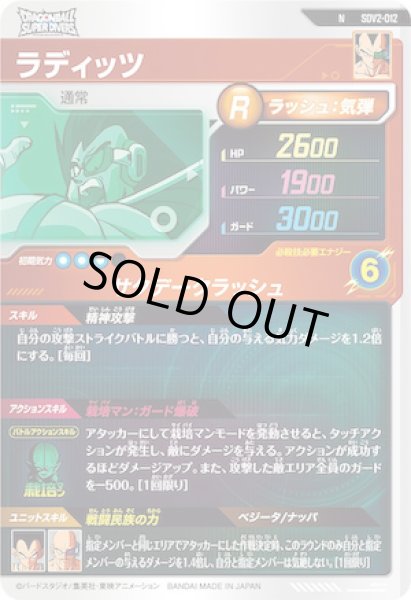 画像2: N ラディッツ (2)