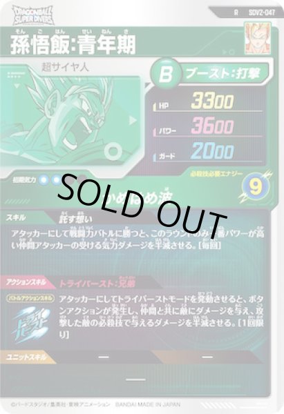 画像2: R 孫悟飯：青年期 (2)