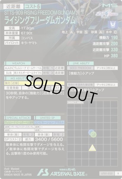 画像2: R ライジングフリーダムガンダム (2)