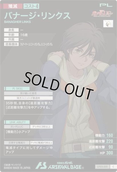 画像2: C バナージ・リンクス (2)