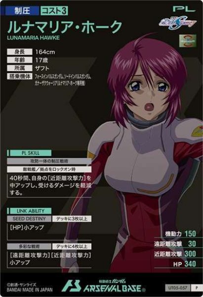 画像2: P ルナマリア・ホーク (2)