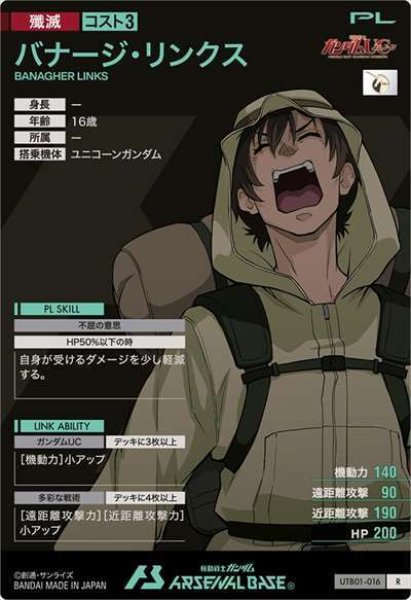 画像2: R バナージ・リンクス (2)