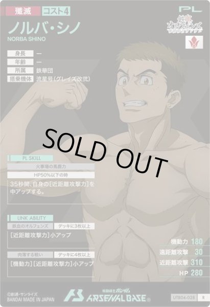 画像2: R ノルバ・シノ (2)